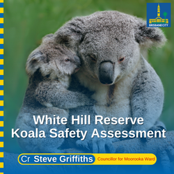 Whites Hill Reserve – Koala Safety Assessment