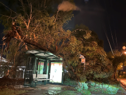 Important Council information regarding the severe storm on Friday 15 December