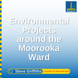 Environmental Projects