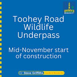 Toohey Road wildlife underpass