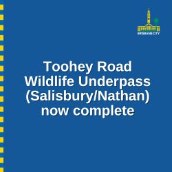 Toohey Forest Wildlife Underpass